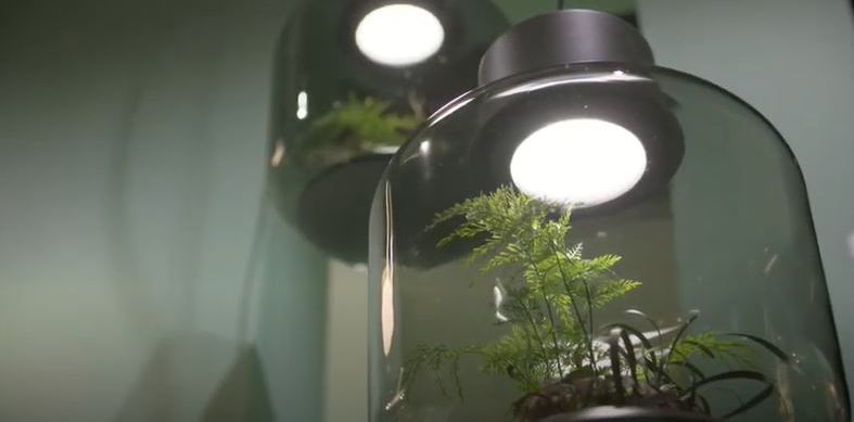 Над 1500 изложители от 46 страни очакват посетители на Light + Building Autumn Edition 2022