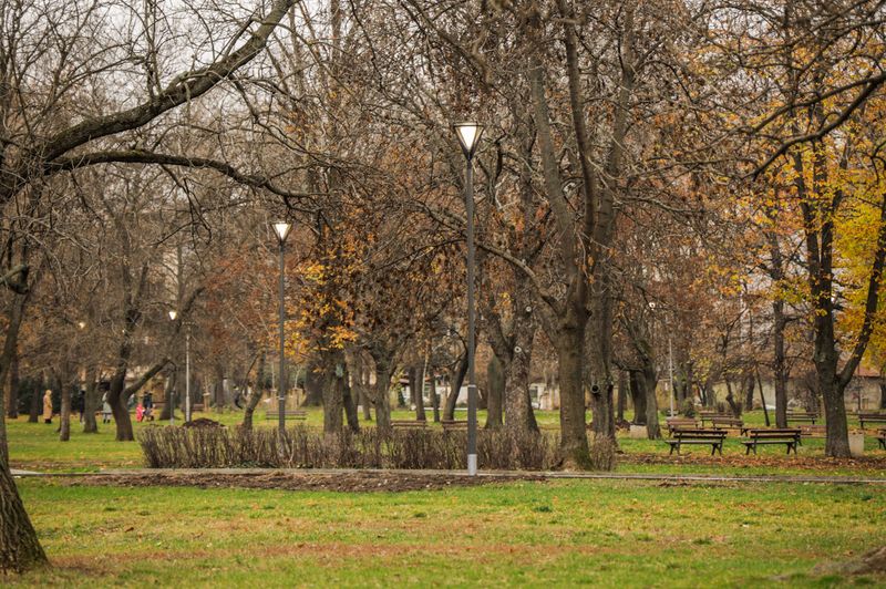 Модернизират осветлението в столичния парк Св. Св. Петър и Павел Модернизират осветлението в столичния парк Св. Св. Петър и Павел