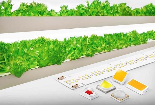 Samsung Electronics представи нови LED решения за оранжерийното производство Samsung Electronics представи нови LED решения за оранжерийното производство